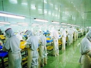 圖 上海凈化廠房裝修食品廠無菌十萬級無塵車間裝修 上海工裝裝修